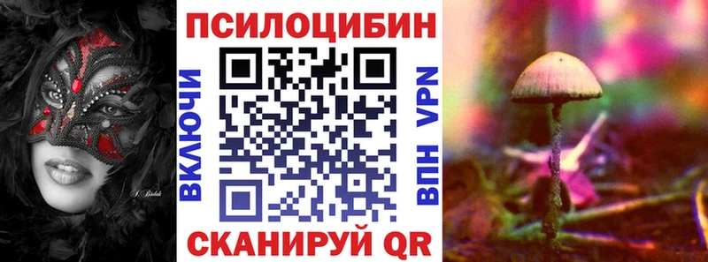 Галлюциногенные грибы Cubensis  Кизляр 