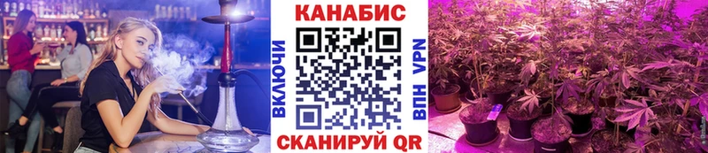 Каннабис OG Kush  купить наркотики цена  Кизляр 